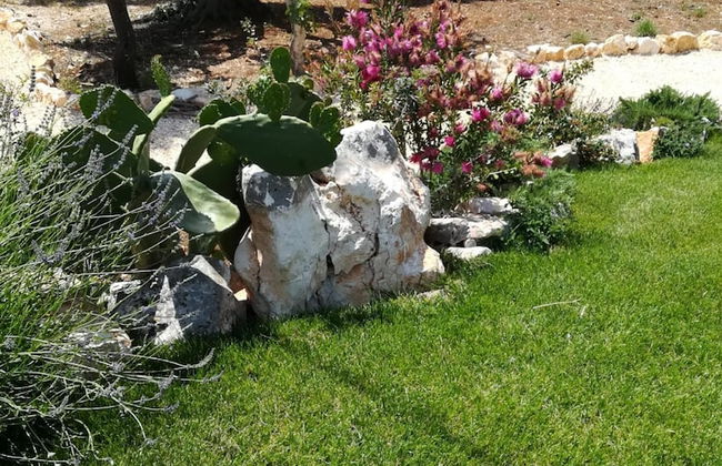 Trulli Lamascrasciola - Foto 22