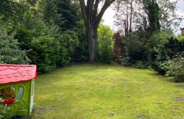 Fintelchen - Foto 18