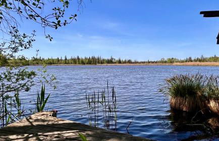 unique Ferienwohnung - Foto 39