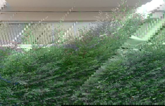 Kumbaz Apartment - Photo 16