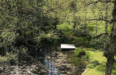 Exklusives Apartment mit Schwimmbad im Allgäu - Foto 19