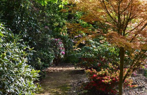 Pinecroft Barn - Relax & Unwind! - Foto 18