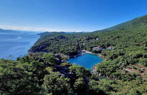 Apartments with parking space Cove Osobjava, Peljesac - 21944 - Foto 23