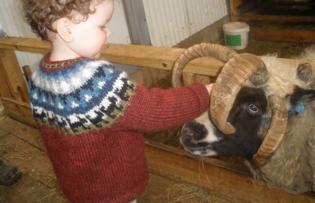 Vorsabær 2 Holiday Home - Foto 21