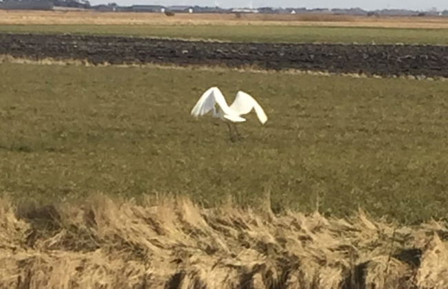 Holiday Home Rejsby near Rømø - Foto 52