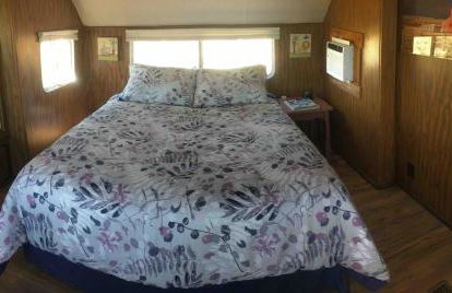 Stargazer, AC, Heat, Free firewood, ice cream, bottled water and smores - Foto 9