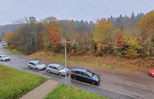 Two-Bedroom Apartment near Triberg Waterfall - Foto 20