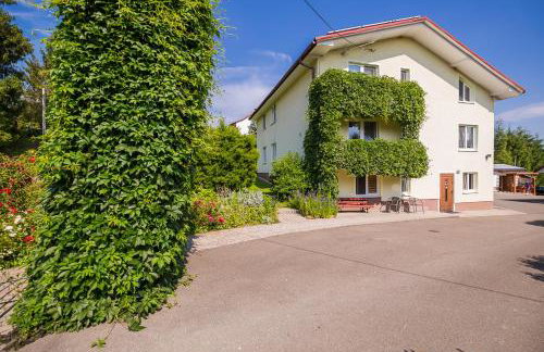 Bieszczadzki Krakowiak 575-894-584 lub 535-595-732 - Photo 48