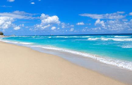 Luxurious 2BR Retreat on Palm Beach Island - Foto 49