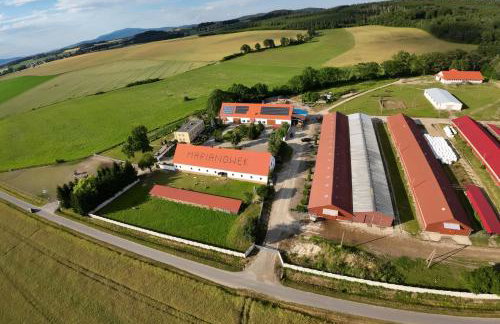 Agroturystyka Marianówek - Foto 2