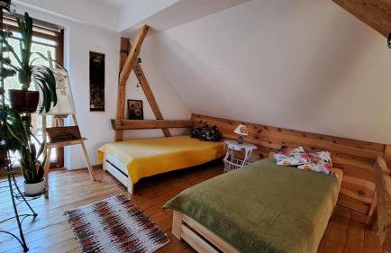 Ostoja Leśna Cisza - Foto 19