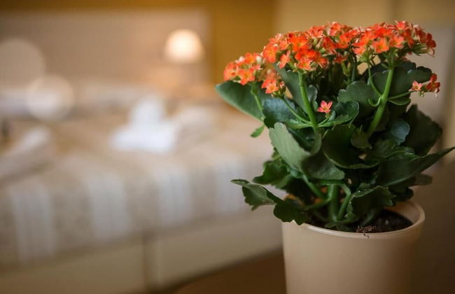 Locanda San Rocco - Foto 32