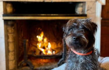 Peterstone Court Country House Restaurant & Spa - Photo 49