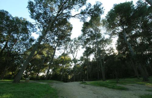 Apartment Sa Boadella beach, Lloret de Mar - Costa Brava - Foto 76