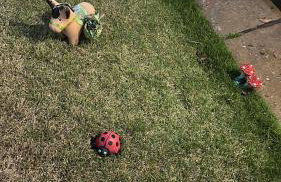 Rancho do Mar - Foto 22