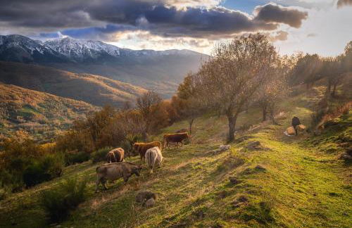 Casa Rural ARBEQUINA & Esquí La Covatilla - Foto 19
