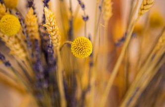 Ξενώνας Βυσωκά - Foto 38