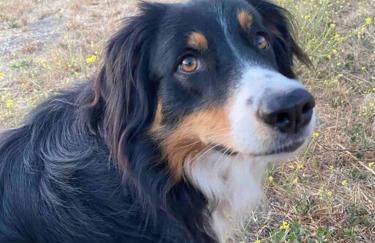 Pacific Coast Hwy Bunkhouse in San Luis Obispo - Foto 22