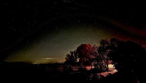 Ferienwohnung Seeblick - Foto 3