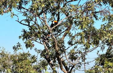 Quintas do Poente - Foto 33