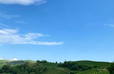 Villa panoramica sulle colline del Monferrato - Foto 58