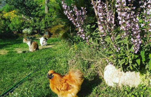 La Casa Di Stefania - Foto 35