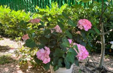 Privat Residence Boardinghouse Meerbusch Nähe Messe Düsseldorf Flughafen - Photo 29