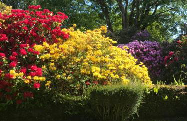 Wee Dipper Cottage Maybole - Foto 15