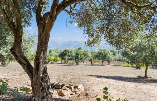 Villa Is Sorrisi - Foto 23