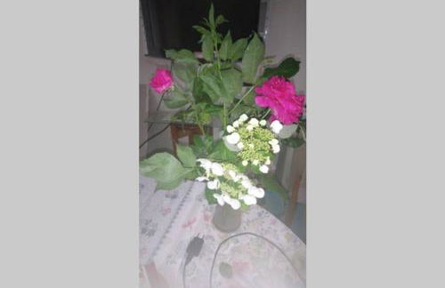 De la campagne au Mont-Saint-Michel - Foto 51