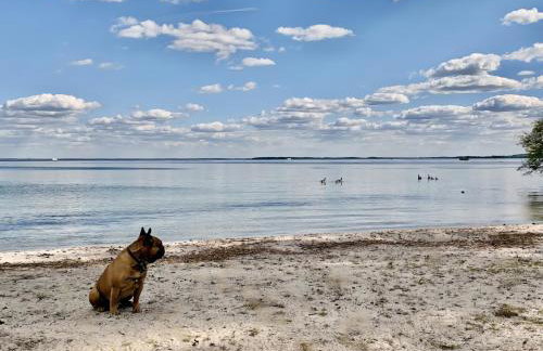 Das Sommerhaus - im Land der tausend Seen - Foto 19