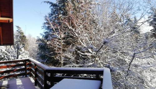 Gite Le Chalet SaintAnthème / Prabouré - Foto 3