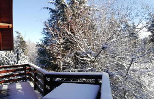 Gite Le Chalet SaintAnthème / Prabouré - Foto 3