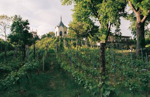 Am Mühlenberg - Photo 26