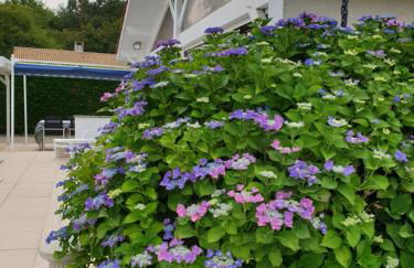 Plaisirs de Lège - Foto 44