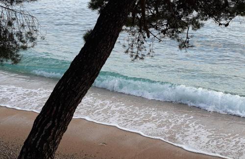 Studio with magic view - Photo 21