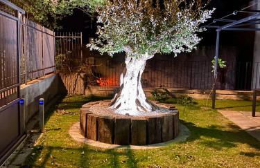 Lulù Home - Foto 25