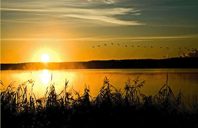 Appartementpark Seeblick - Photo 55