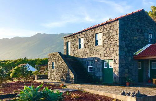 Adega da Prainha - Photo 24