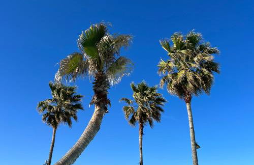 Casa La Mariposa - Photo 30