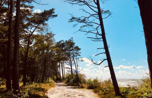 Piękny domek z dużym ogrodem - Foto 44