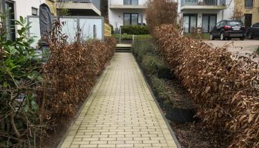 Sakura - Foto 4, Other