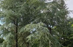 Gîte "Hawaï", avec parking securisé - Photo 25