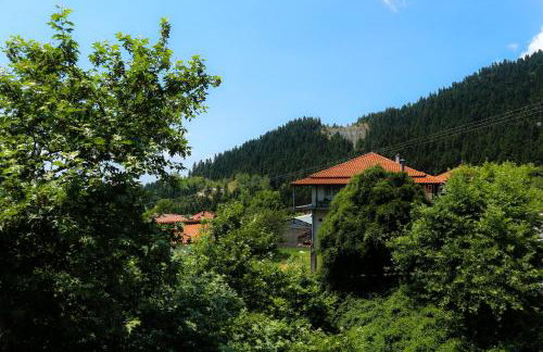 Hotel Elatofilito - Foto 31