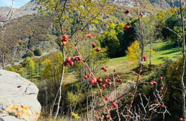 Studio Piccola Renna - Foto 51