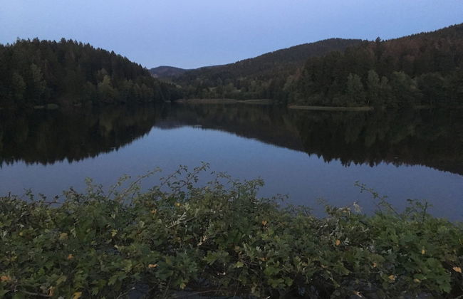 Detached Holiday Residence in the Wonderfully Beautiful Harz - Foto 76