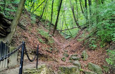 Lawendowy Domek agroturystyka, noclegi - 2,7 km od Bałtowa - Foto 66