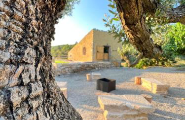 Serra de Martines - Foto 18