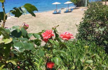 Luxury Beachfront Villa Poseidon Artemisiou Παραθαλάσσια Βίλα στην βόρεια Εύβοια για φιλοξενία 9 ατόμων - Foto 34