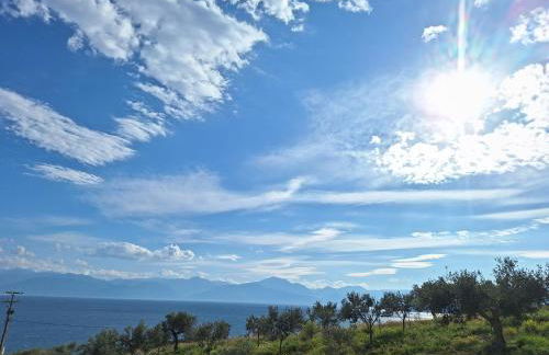 Physis Fokida - Foto 20